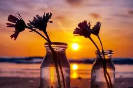 挽回学院挽回爱情小说:情感救赎之路 挽回学院挽回爱情小说:情感救赎之路